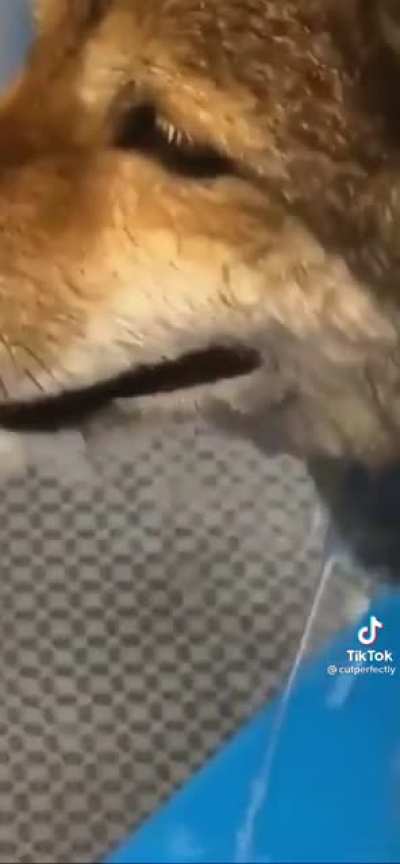 The pain in his eyes