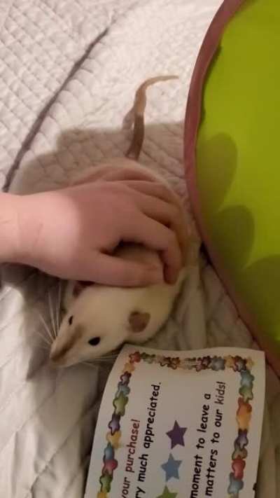 Tail wags