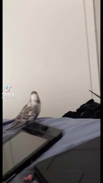 You stinky!