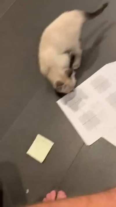 Awww
