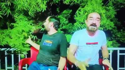 Justice for tree treatment 
