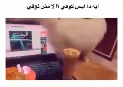 a demonstration of how to cat