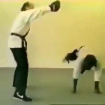 Martial arts monkey