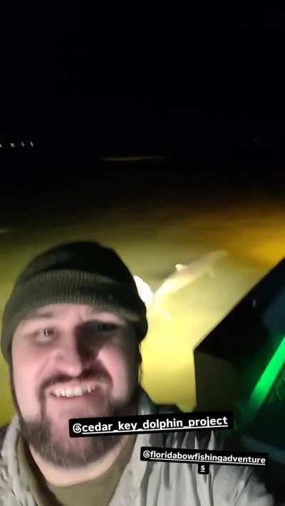 I went hunting with Dolphins last night