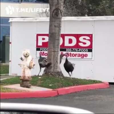 #funny. Something is planned.  