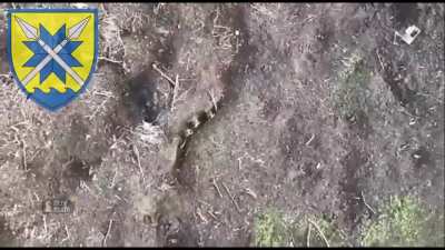 Bombardment of Russian positions with drones. By the 56th brigade and 225th battalion of territorial defense of Ukraine.