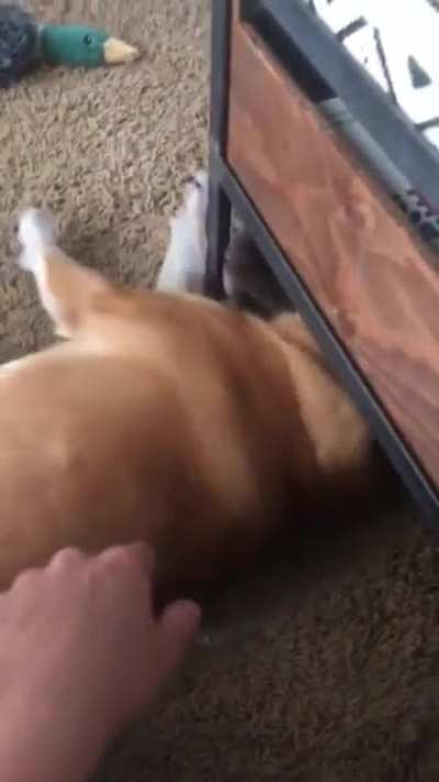 Poor Penny