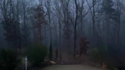 Just found this sub and I am in love with it. Here’s one of the best rain videos I have, this was last weekend in NC, US.