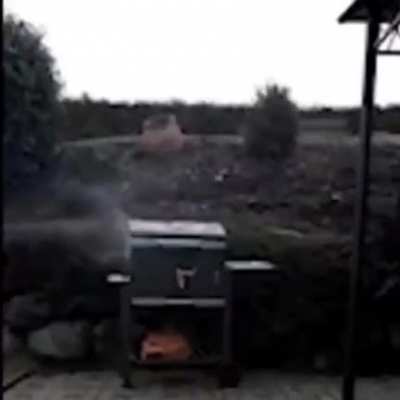 Peaceful BBQ