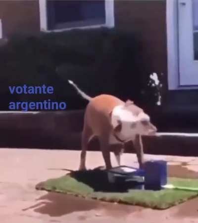 La maquinita