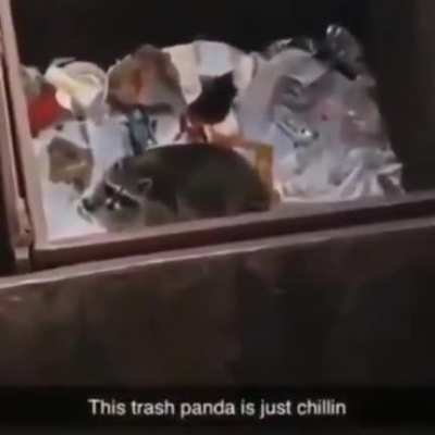 SquarePosting - Video #8365