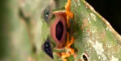 What up my nibba