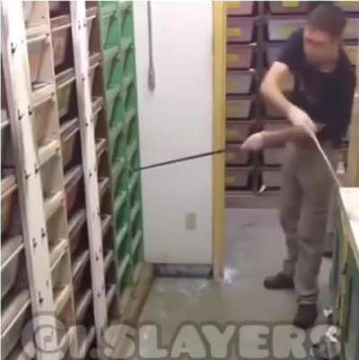 Feeding snakes in an ophidiarium