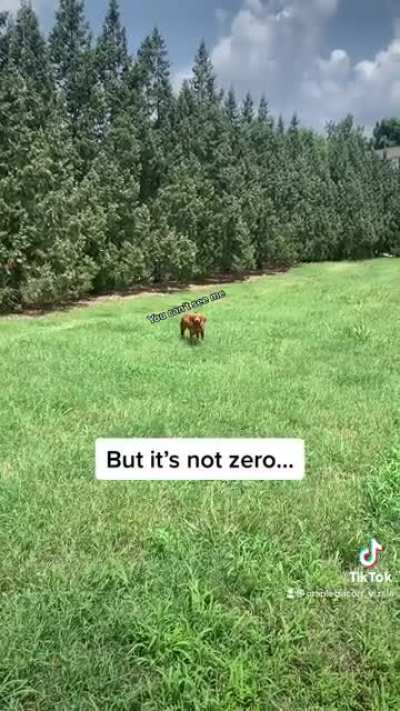 The chances aren’t zero…..
