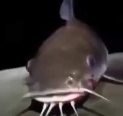typa shi ive been on (frist epilepsy evr!!!!)