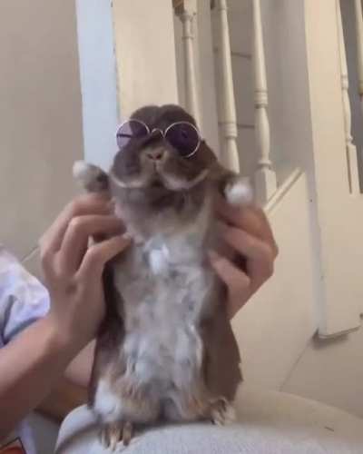 Que lindo no?