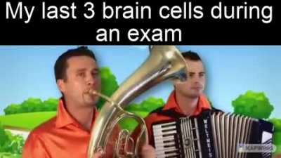 Brain
