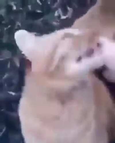 HOLY SHIT