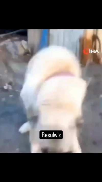 Benim adim r