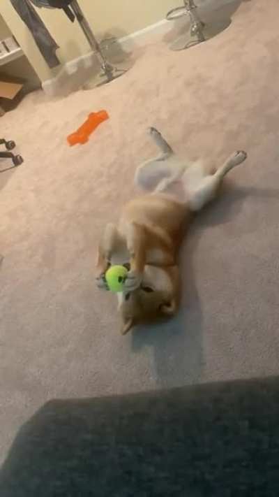 What is he doing?