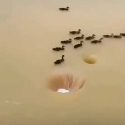 my hole people need me