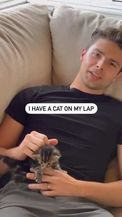 In-cat-pacitated