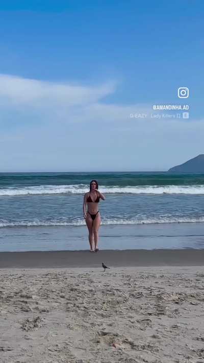 Amanda Araújo
