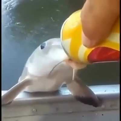 eu🐟nvr