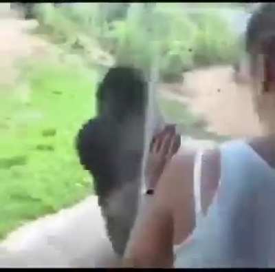 🐵🐵🐵