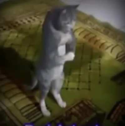 ALLUH
