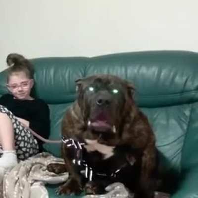 Вы не бойте<wbr>сь, он не кусае<wbr>тся