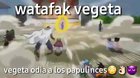 Doou clave vegetovich