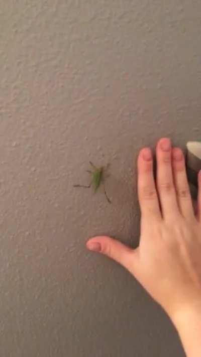 Dude hopped on my shoulder