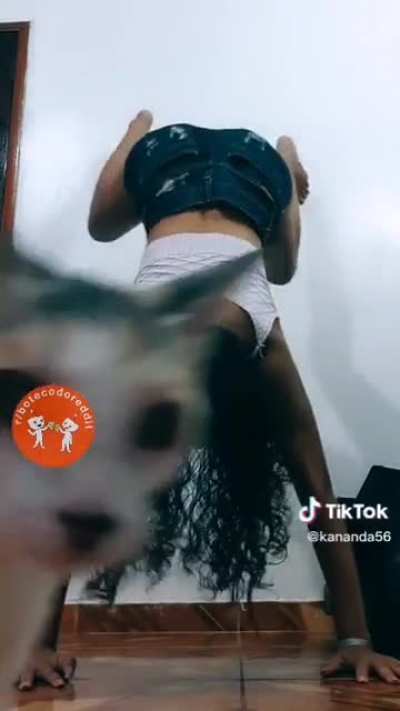 🐈