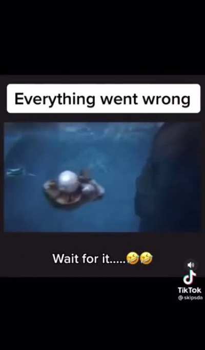 That scream