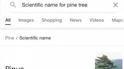 You Learn New Things Everyday