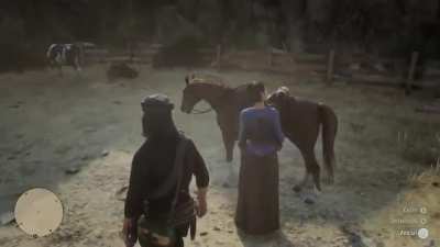 Our horse isn’t happy