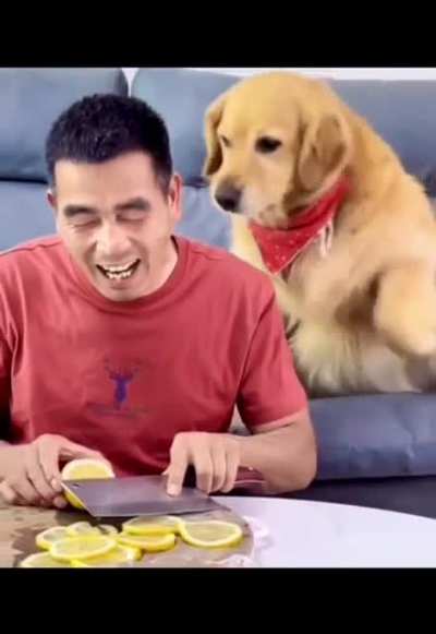 Dog attacking a 🔪 user