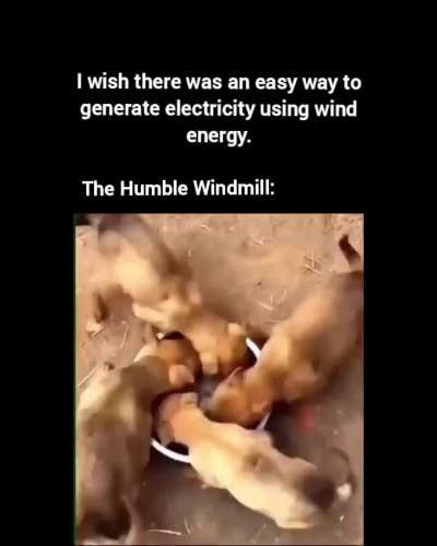 Spinny wunkus