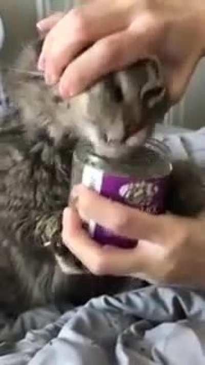 The nip has taken control