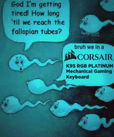 4986