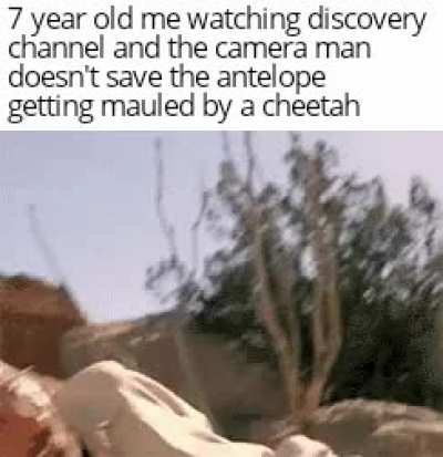 Like, he's right there