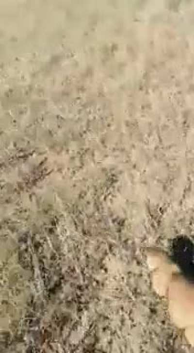 Ты что творишь?!