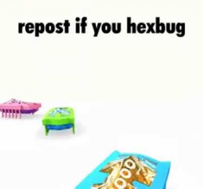 Rule