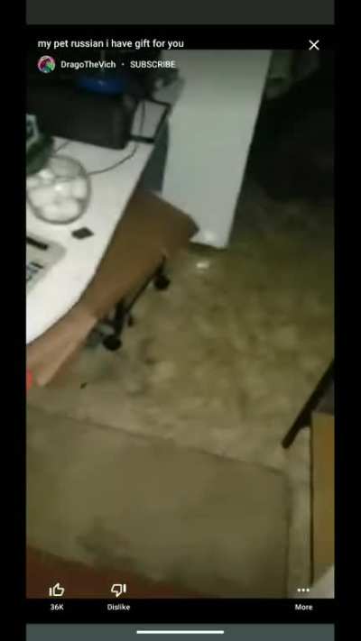 Blyat Russia