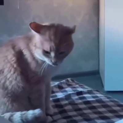He will have PTSD forever