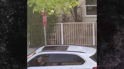 Driver Points Gun Out Window 