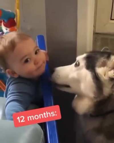 Dogs really are our life long companions !