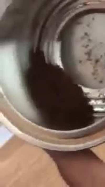 Cocoa powder won't come out