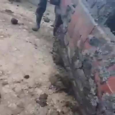 Призрачный гончик. Чудесное спасение...
